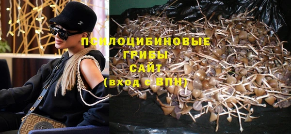 apvp Алексин