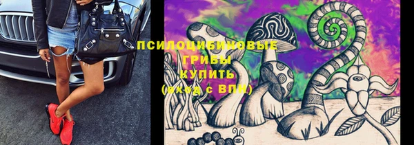 apvp Алексин