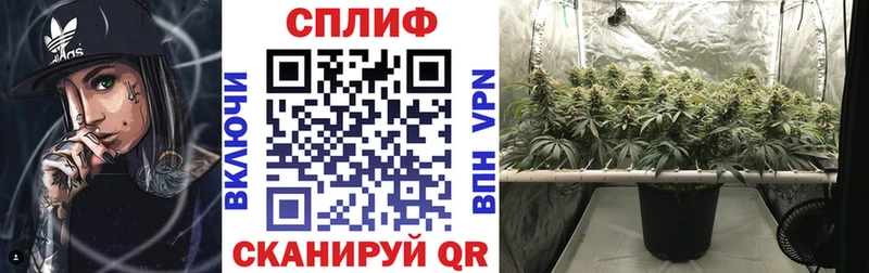 МАРИХУАНА семена  где купить наркоту  блэк спрут ссылки  Любим 